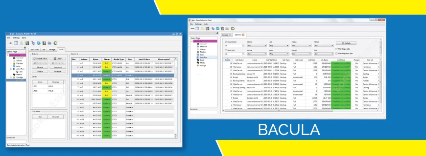 Bacula Assignment Help