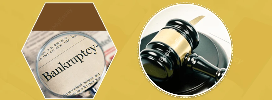 Bankruptcy Assignment Help