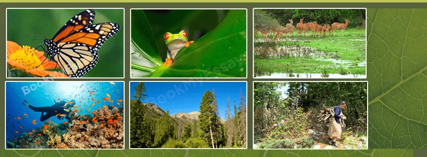 Biodiversity and Ecosystem Loss Assignment Help