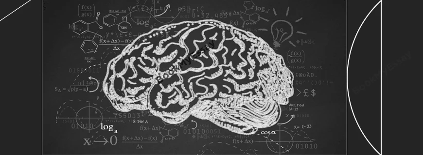 Brain and Cognitive Sciences Assignment Help