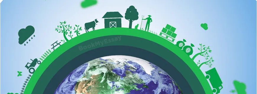 Business Sustainability Assignment Help