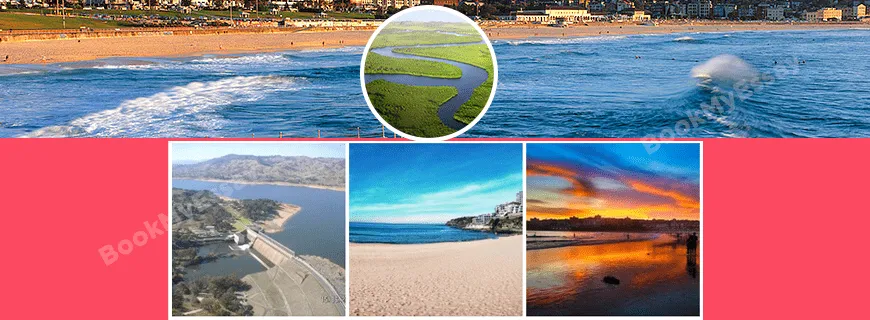 Coastal Management Assignment Help