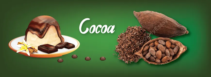 Cocoa Assignment Help