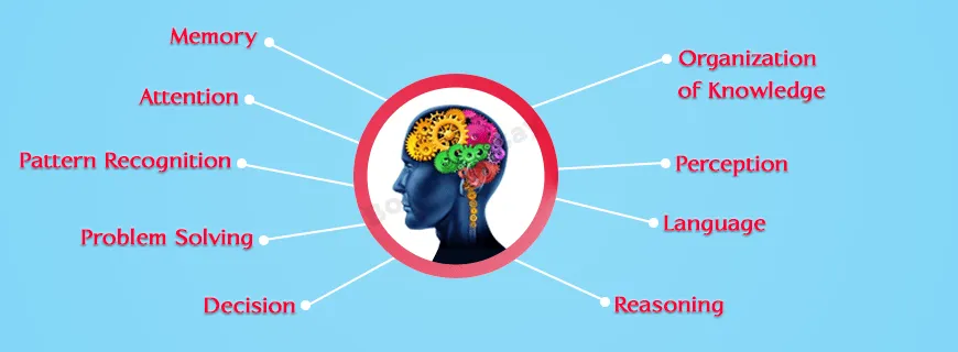 Cognition Assignment Help