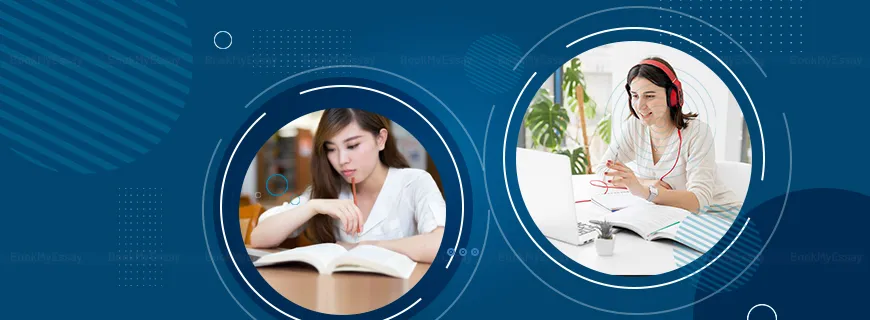 College Assignment Help