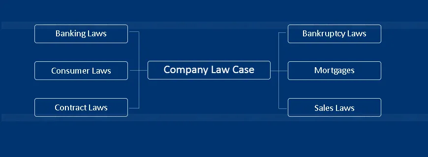 Company Law Case Study Help