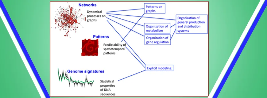 Computation and System Biology Assignment Help