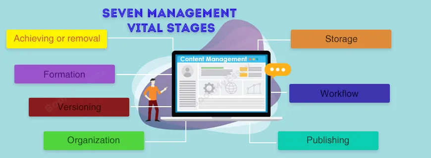 Content Management Assignment Help