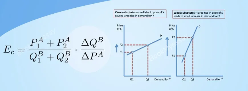 Cross and Advertising Elasticity Assignment Help