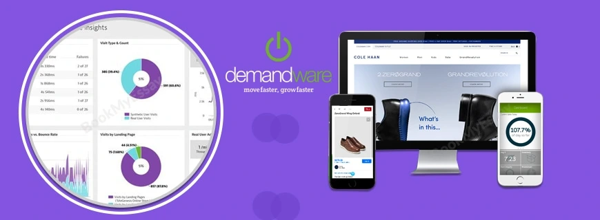 Demandware Assignment Help