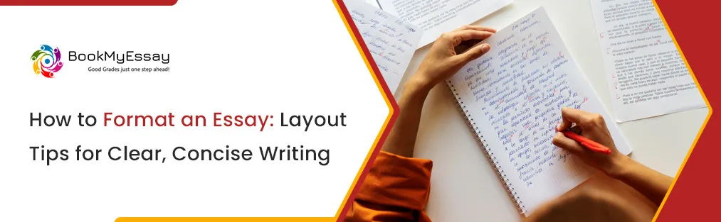 essay layout writing help
