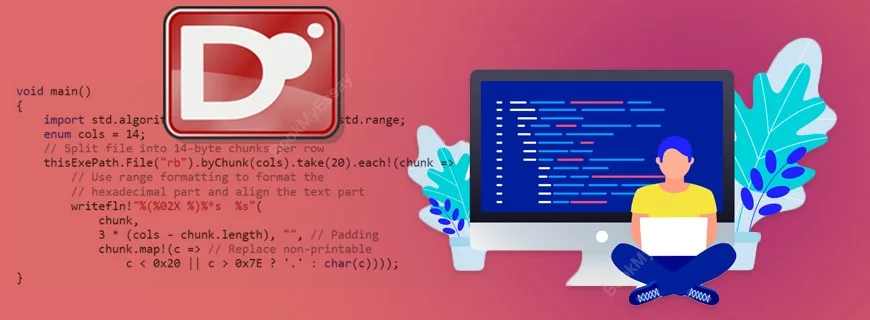 D Programming Language Assignment Help