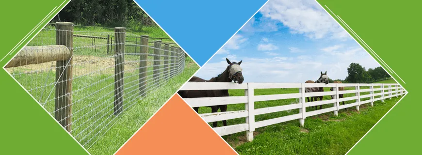 Fencing Assignment Help