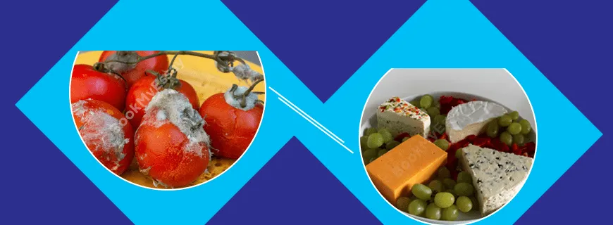 Food Spoilage and Hygiene Assignment Help