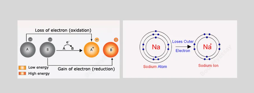 Formation of Ions by Electron Loss or Gain Assignment Help