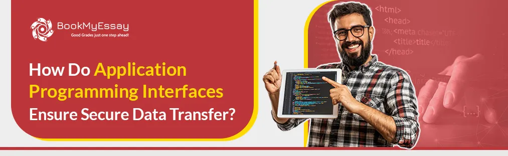 application programming assignment help