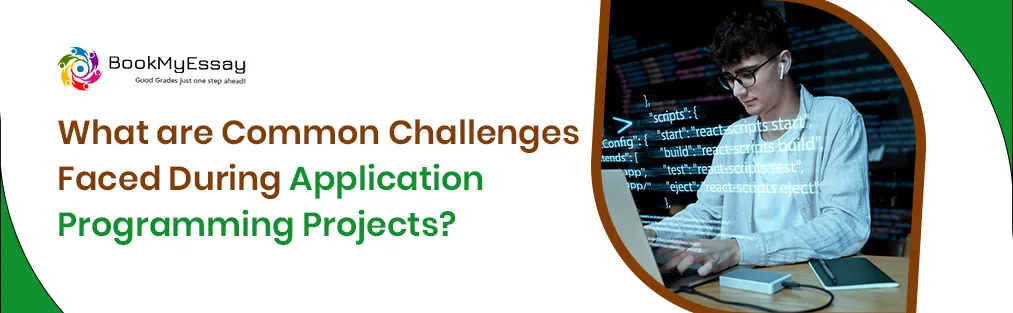 application programming assignment help