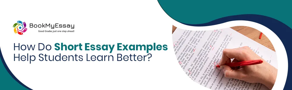How Do Short Essay Examples Help Students Learn Better?