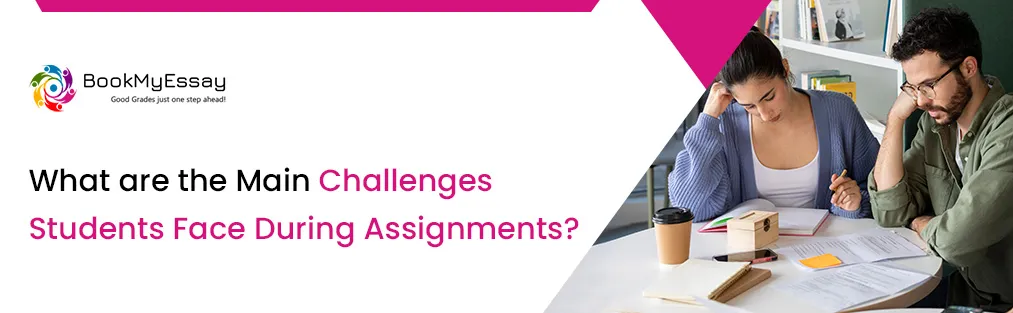 What are the Main Challenges Students Face During Assignments?