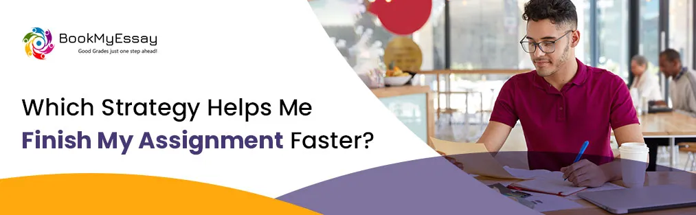 my assignment help UK