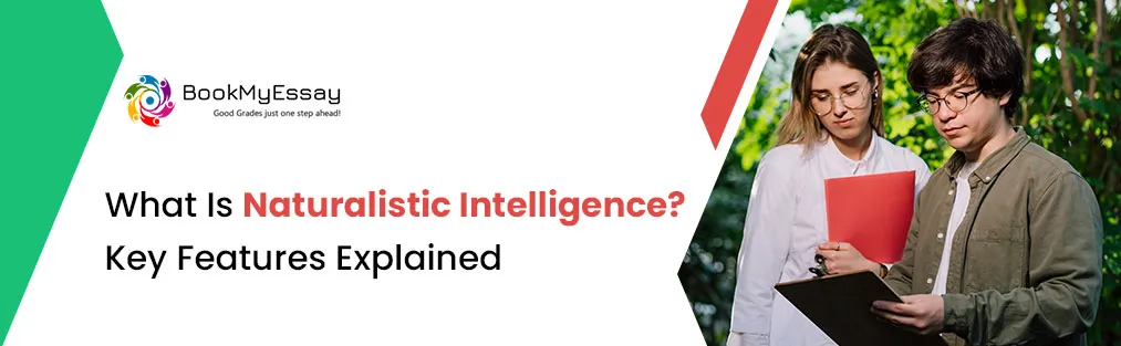 What Is Naturalistic Intelligence? Key Features Explained