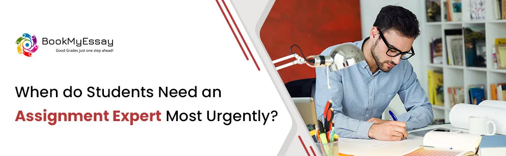 When Do Students Need an Assignment Expert Most Urgently?