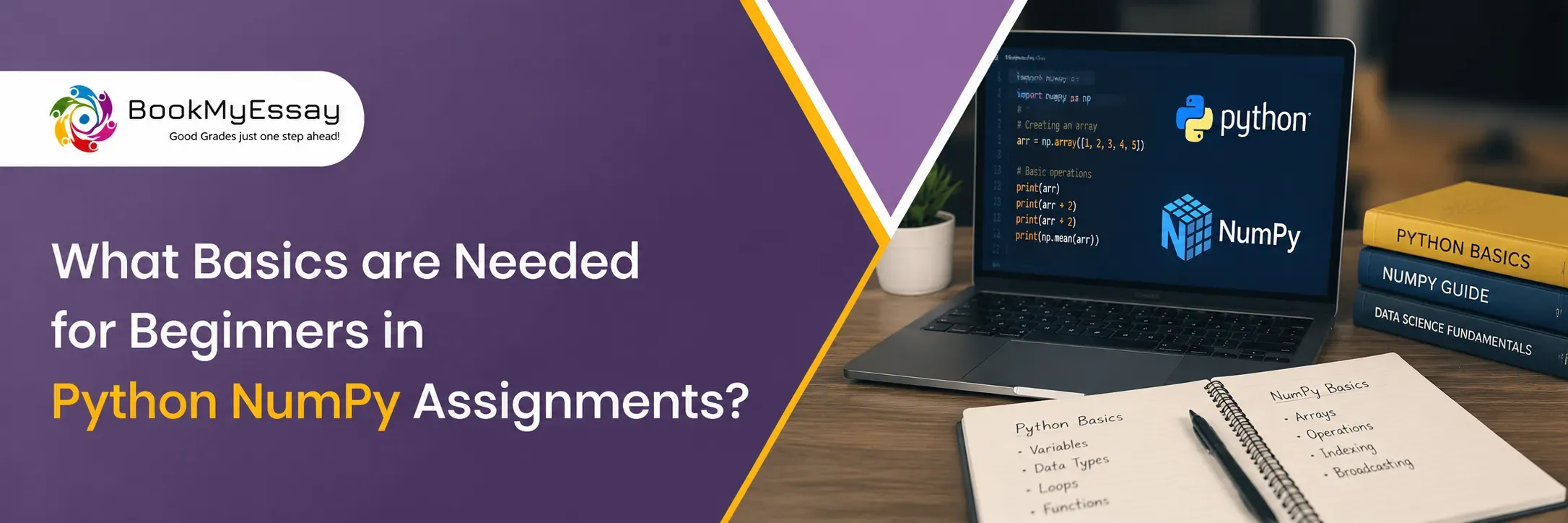 What Basics are Needed for Beginners in Python NumPy Assignments?